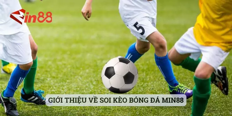 Giới thiệu về soi kèo bóng đá MIN88